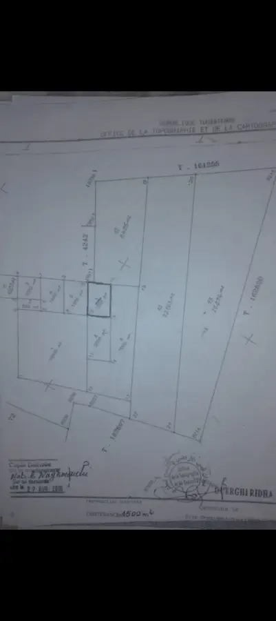Terrain consctructible cité ferdaous jandouba - Photo 1