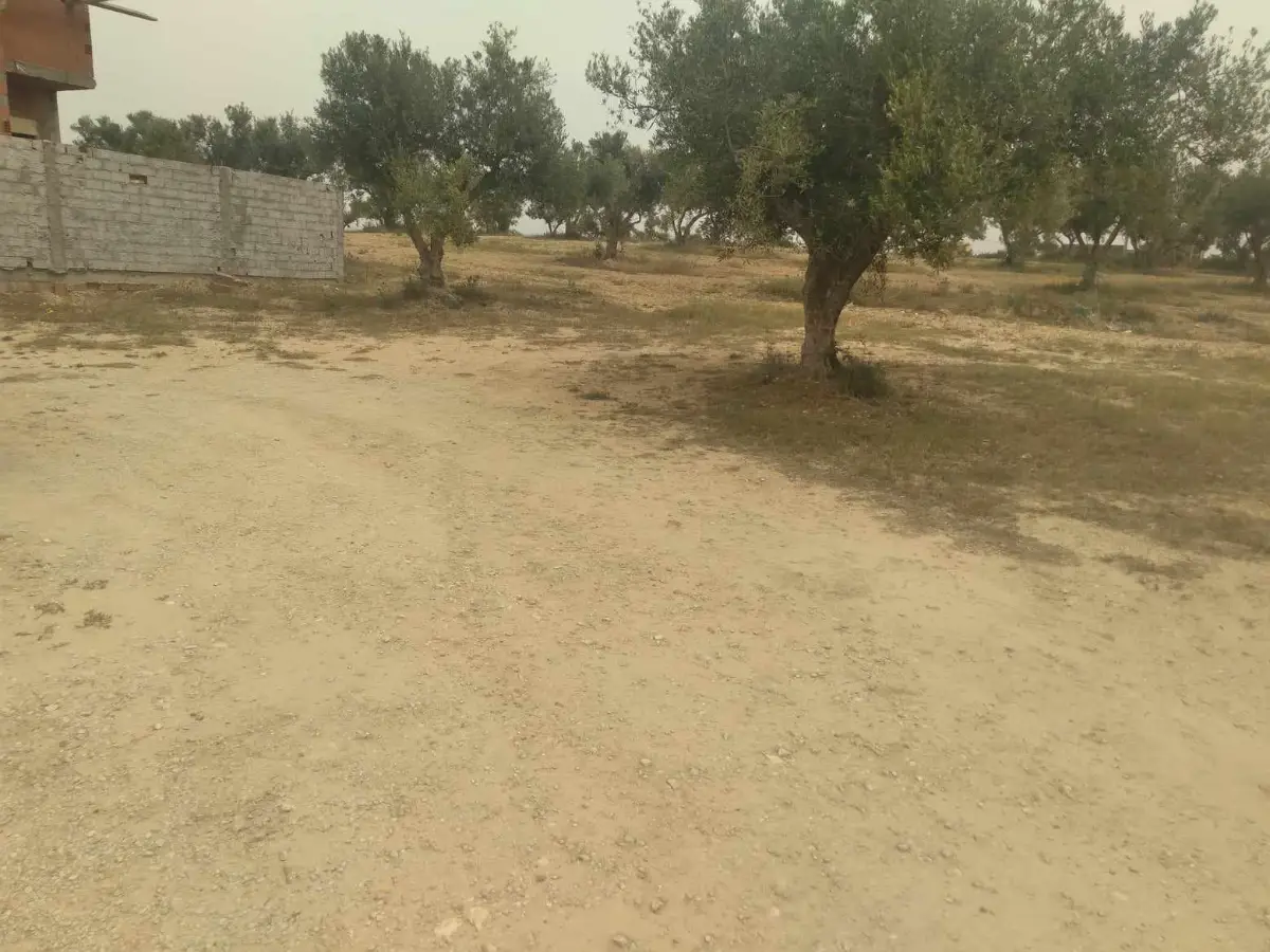  Vente de lots de terrain à Soliman - Photo 2