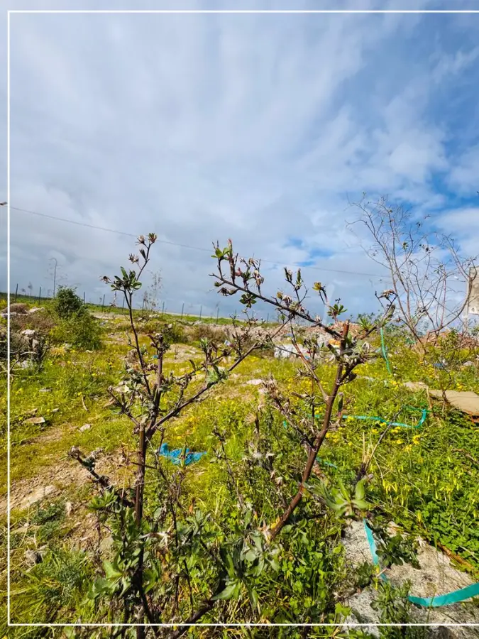 À VENDRE – Terrain à La Soukra - Photo 2