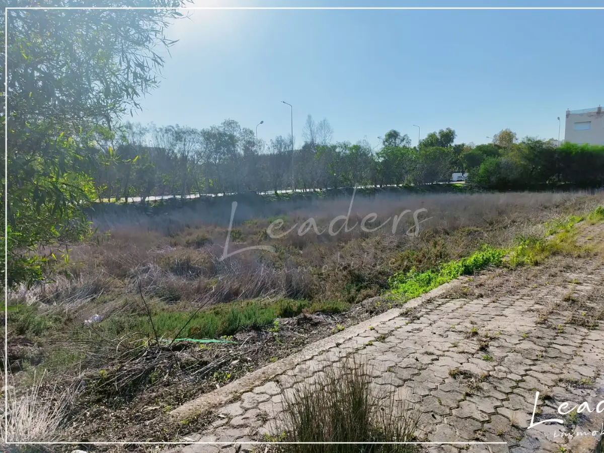 À VENDRE – Terrain constructible à Raoued - Photo 2