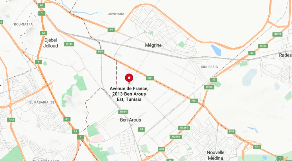 TERRAIN STRATÉGIQUE À BEN AROUS - Photo 1