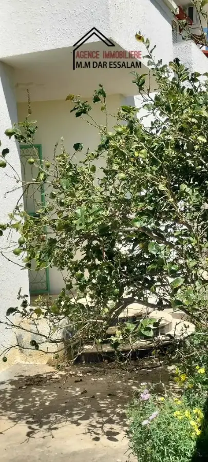 maison indépendante à el haouaria - Photo 3