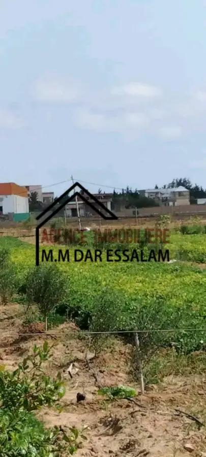 terrain agricole à dar allouche - Photo 2