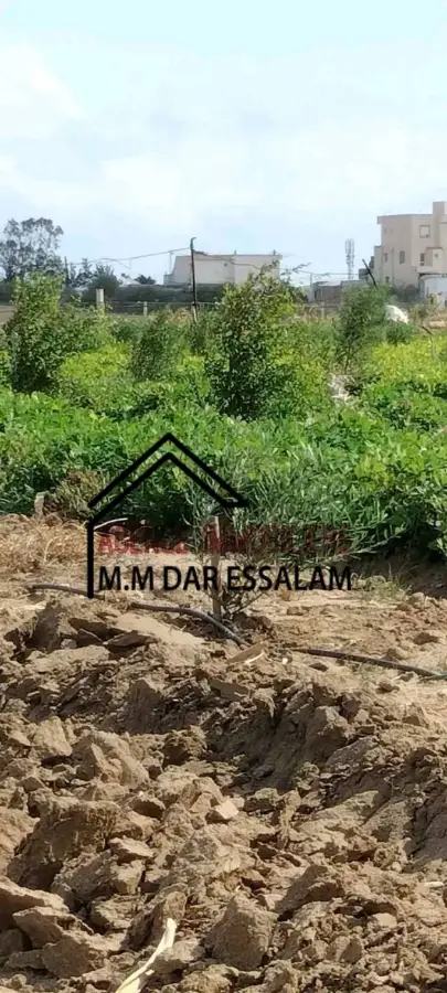 terrain agricole à dar allouche - Photo 3