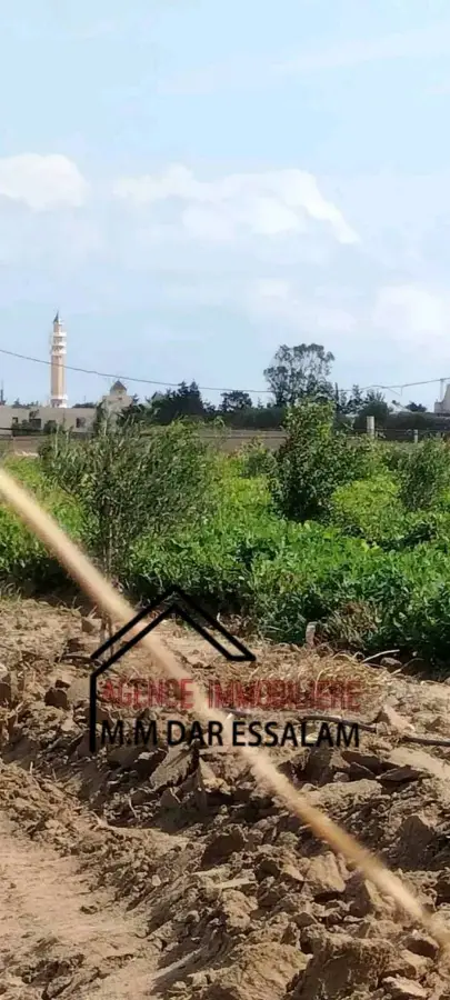 terrain agricole à dar allouche - Photo 4