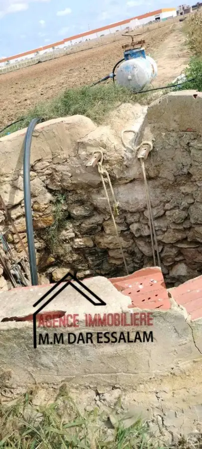 terrain agricole à dar allouche - Photo 9