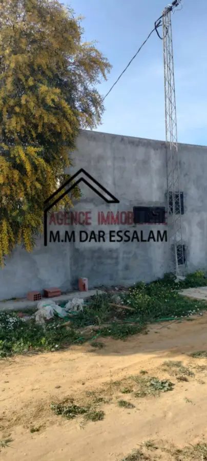 terrain agricole à dar allouche - Photo 5