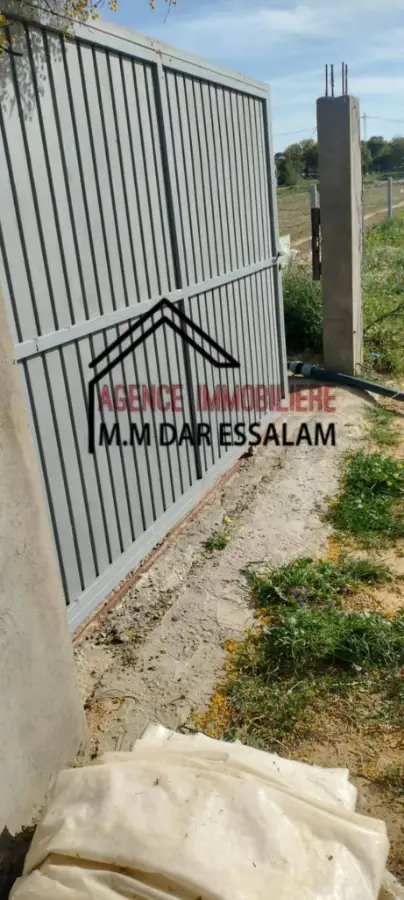 terrain agricole à dar allouche - Photo 11