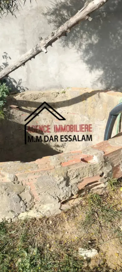 terrain agricole à dar allouche - Photo 3