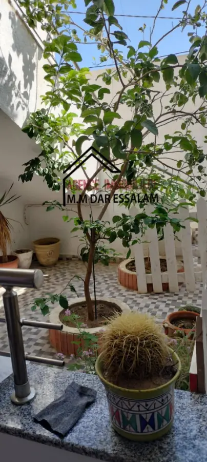 villa r1 près de la mer - Photo 3