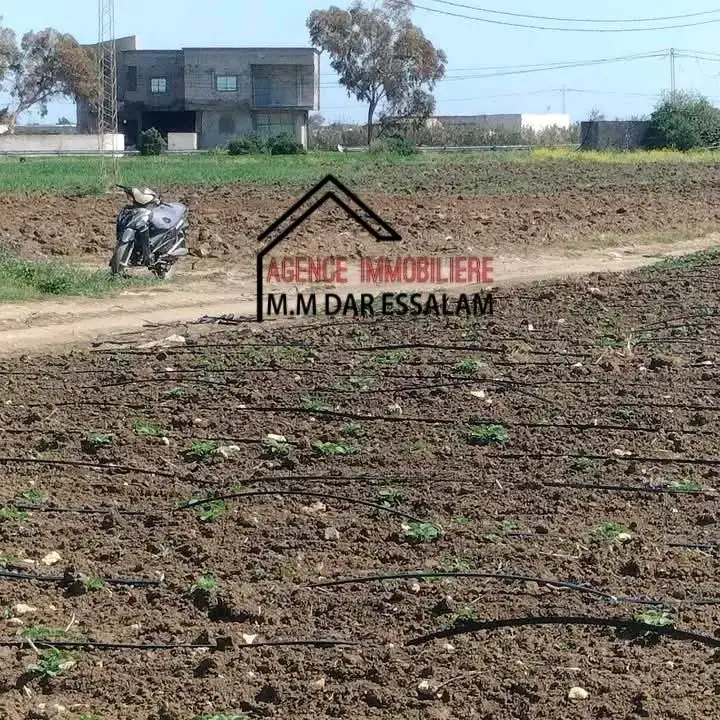 terrain agricole près de dar allouche - Photo 1