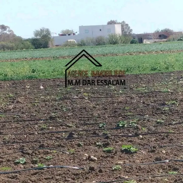 terrain agricole près de dar allouche - Photo 2