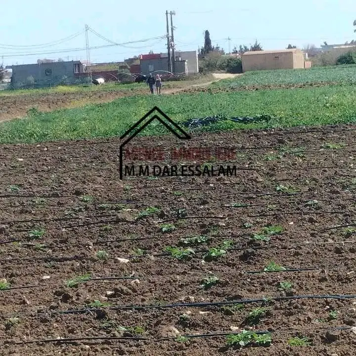 terrain agricole près de dar allouche - Photo 4