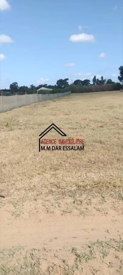 terrain agricole près de la route principal - Photo 1