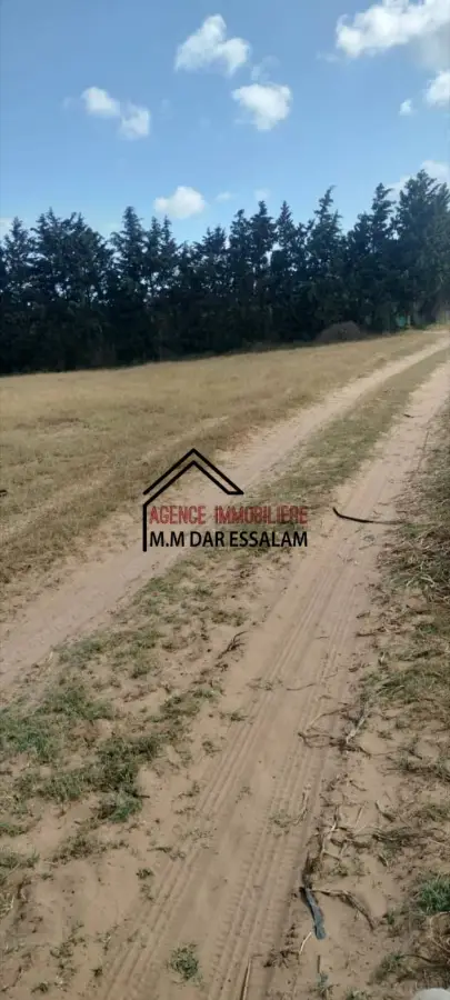 terrain agricole près de la route principal - Photo 3