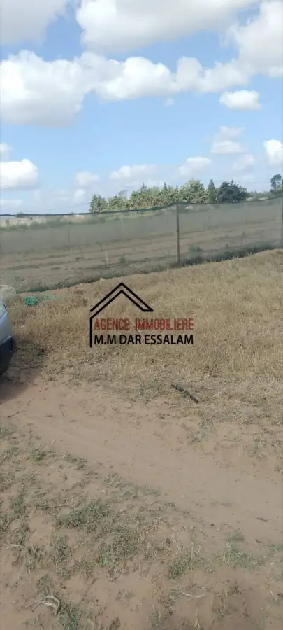 terrain agricole près de la route principal - Photo 4