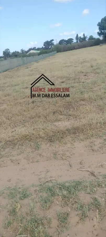 terrain agricole près de la route principal - Photo 5