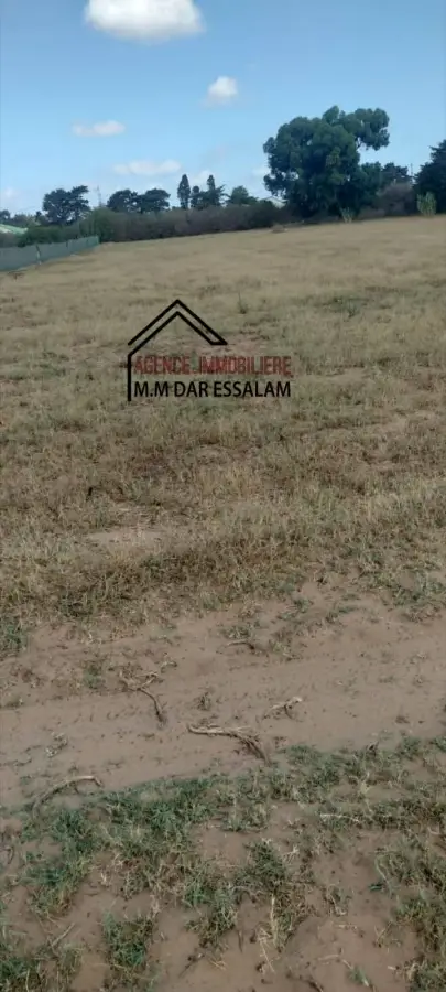 terrain agricole près de la route principal - Photo 6