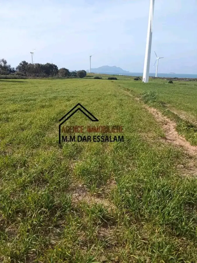 terrain agricole près de la mer - Photo 1