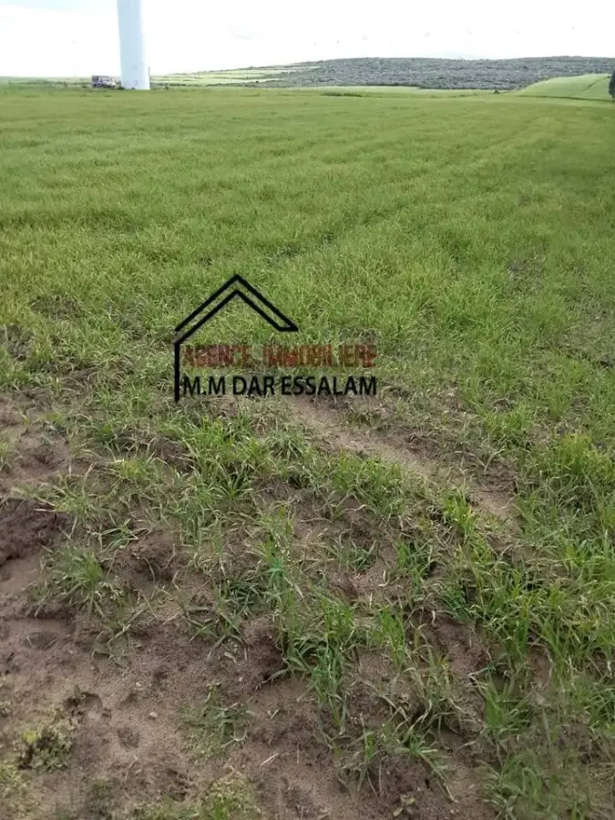 terrain agricole près de la mer - Photo 2