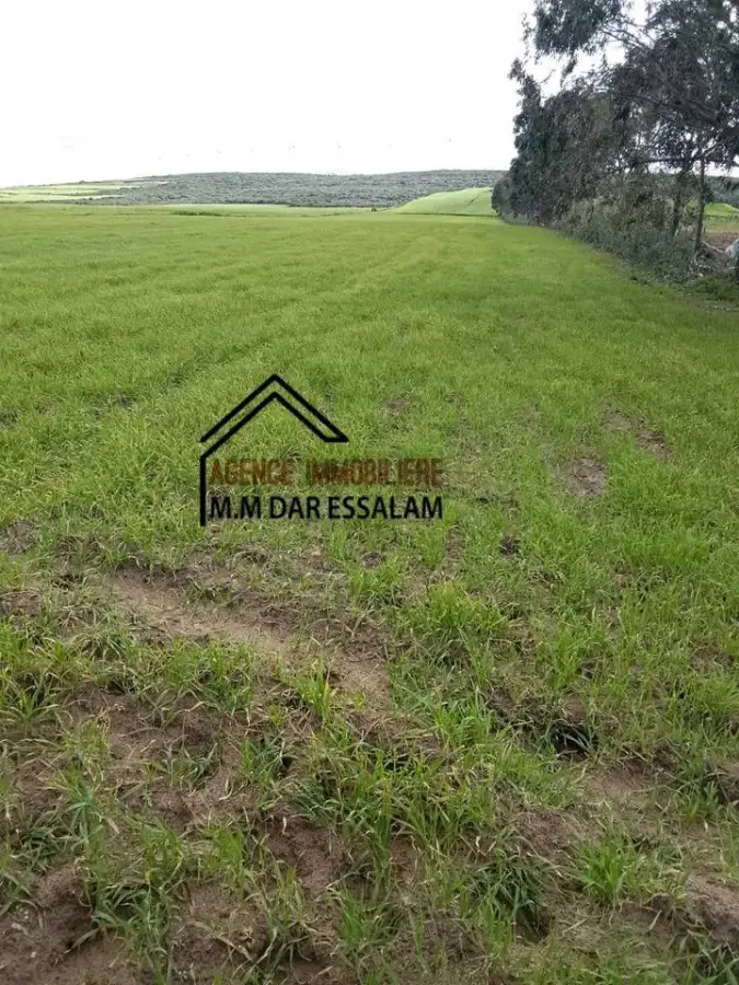 terrain agricole près de la mer - Photo 3