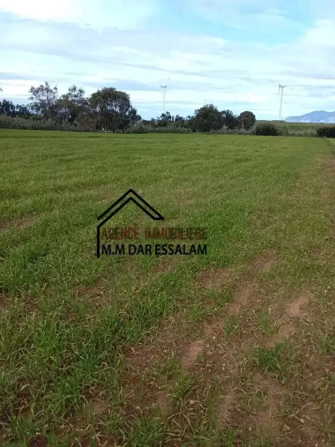 terrain agricole près de la mer - Photo 4