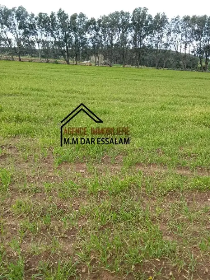 terrain agricole près de la mer - Photo 5