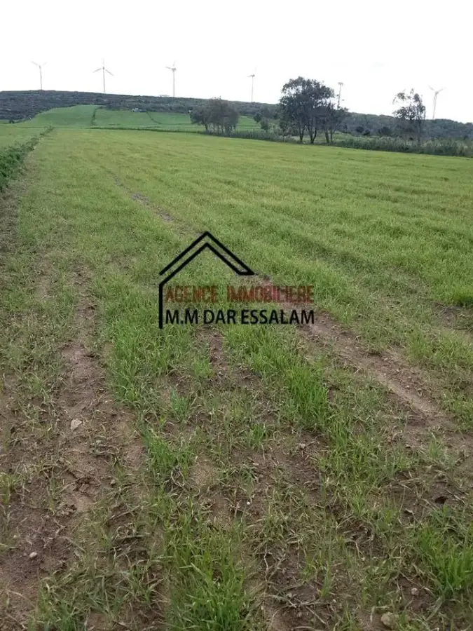 terrain agricole près de la mer - Photo 6