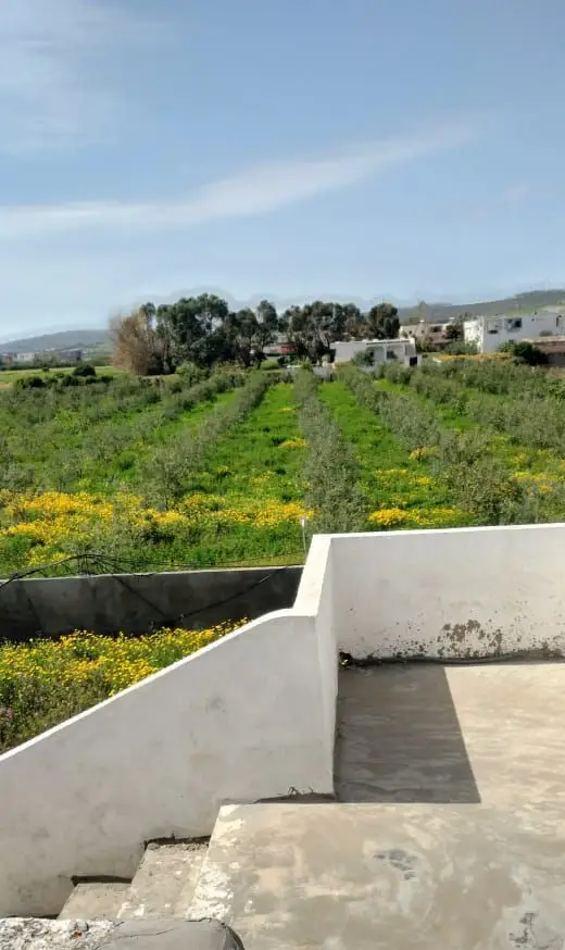 terrain agricole contenant une villa - Photo 3