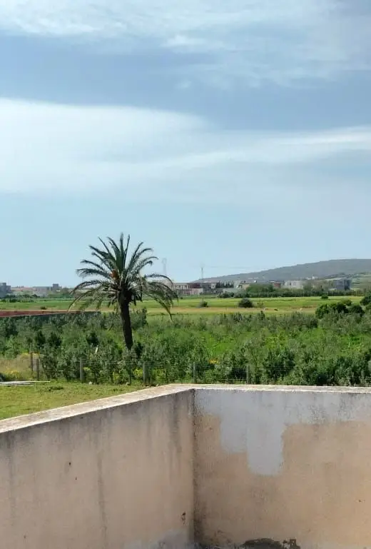 terrain agricole contenant une villa - Photo 4