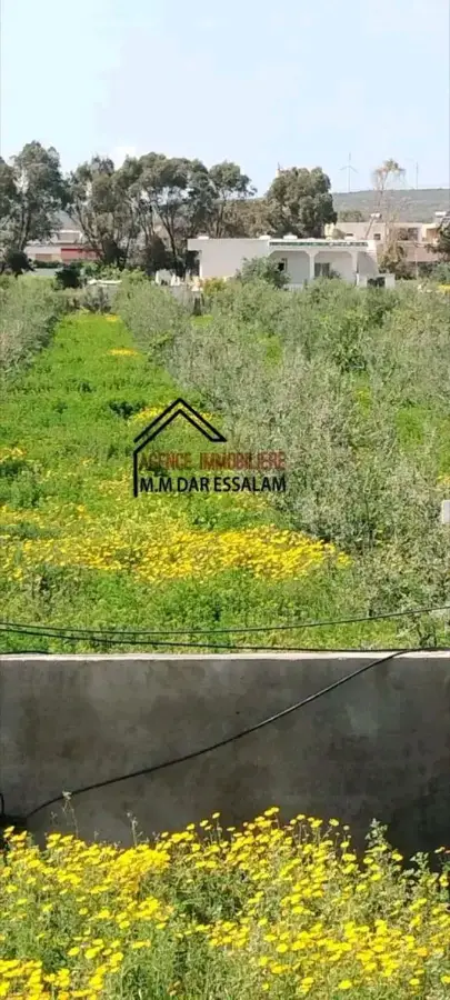 terrain agricole contenant une villa - Photo 9