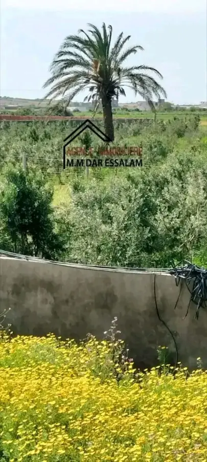 terrain agricole contenant une villa - Photo 10