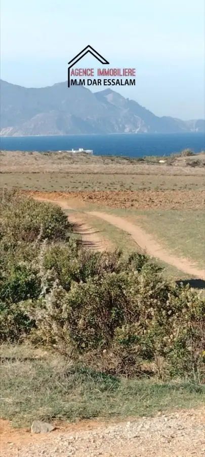 terrain agricole près de la mer - Photo 2