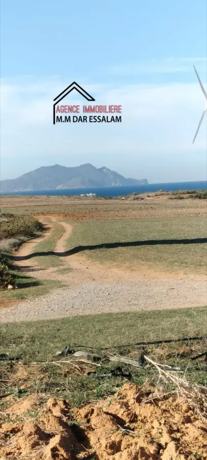 terrain agricole près de la mer - Photo 3