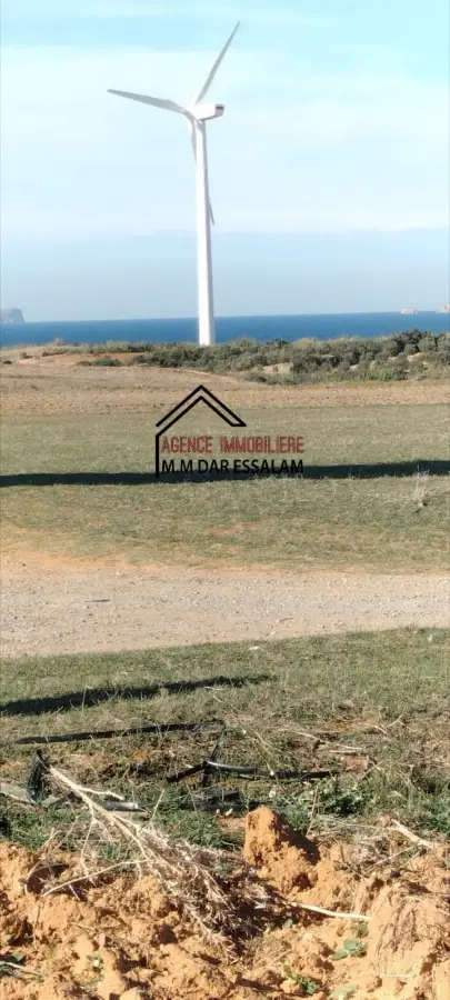 terrain agricole près de la mer - Photo 4