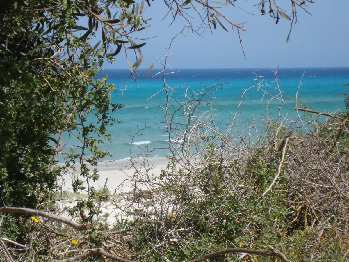 Terrain de cap bon 200 mètres de la plage - Photo 1