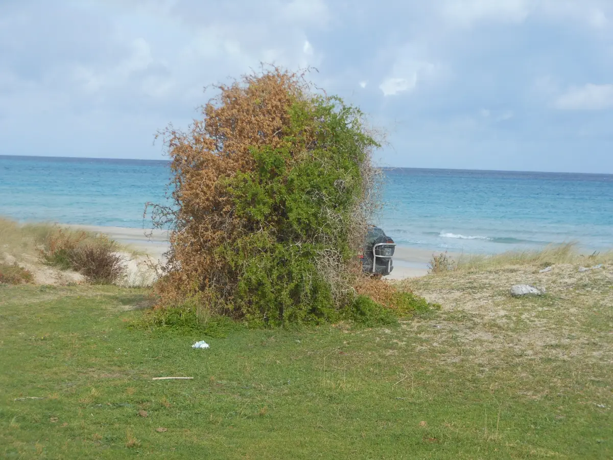 terrain de 5 ha a partager  - Photo 1