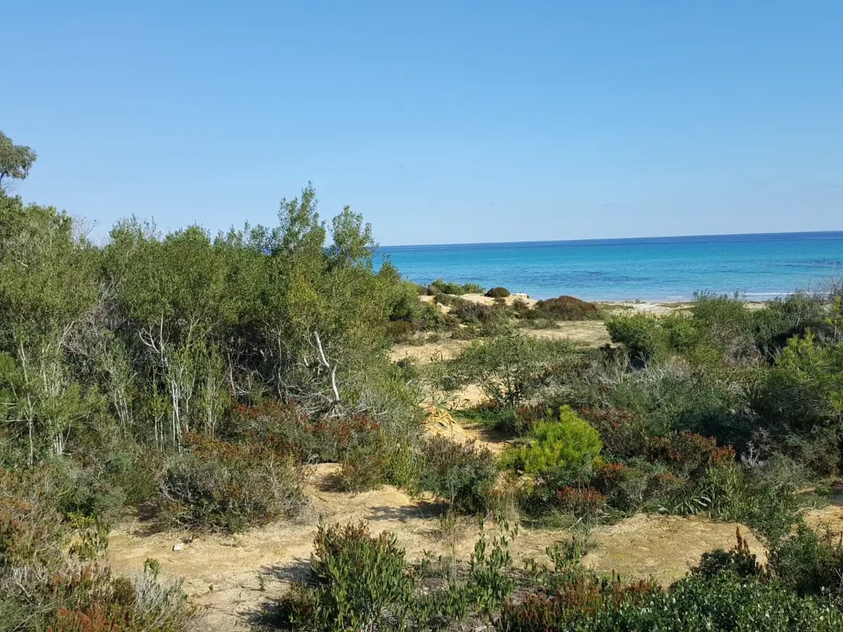 Un terrain exceptionnel au cap bon - Photo 1