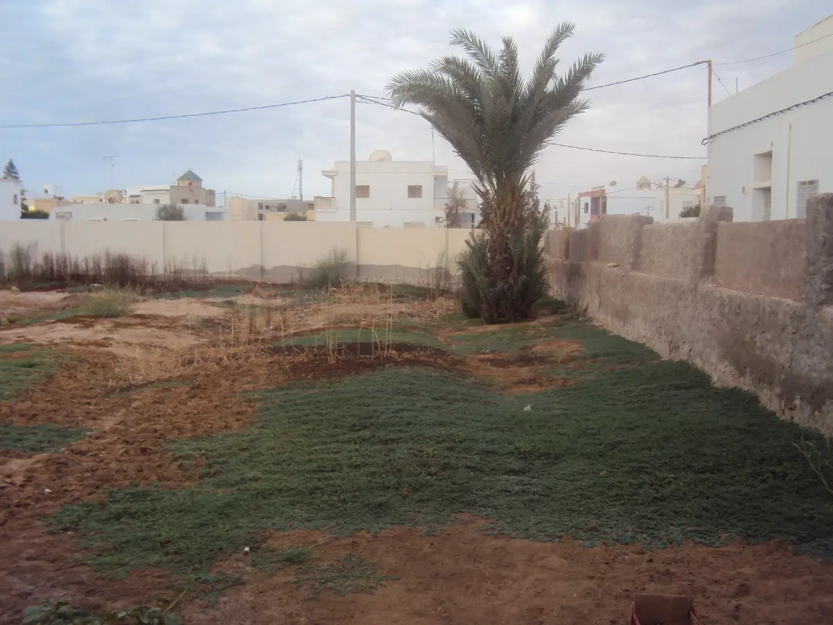 Terrain de 1430 m² Route EL AIN km 2-SFAX - Photo 3