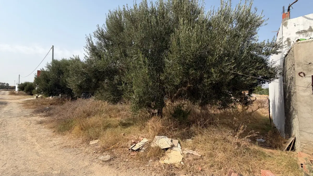 Terrain à vendre – Entre Bir Bouregba et Barraket Essahel - Photo 1