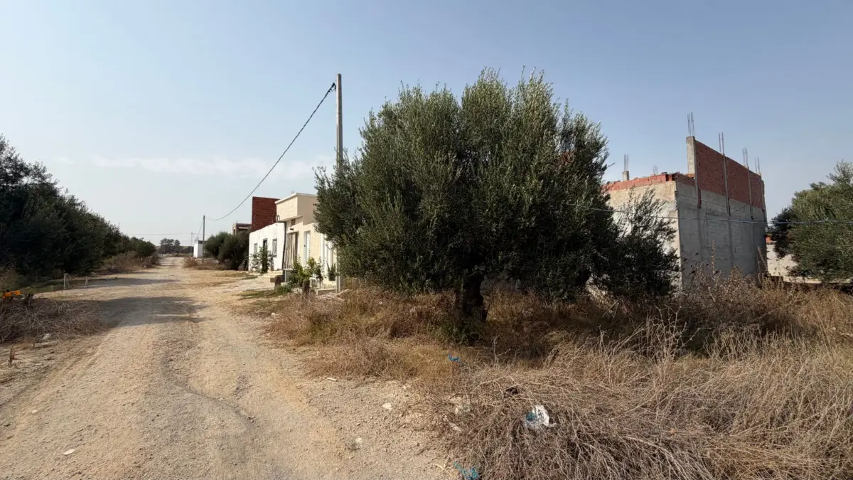 Terrain à vendre – Entre Bir Bouregba et Barraket Essahel - Photo 2