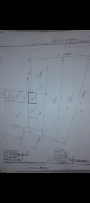 Terrain consctructible cité ferdaous jandouba à Jendouba