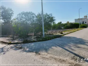 À VENDRE – Terrain constructible à Raoued