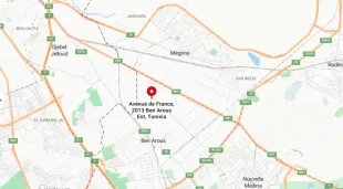 TERRAIN STRATÉGIQUE À BEN AROUS