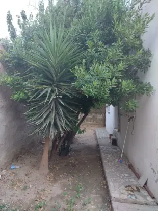 Opportunité a ne pas rater à Manouba