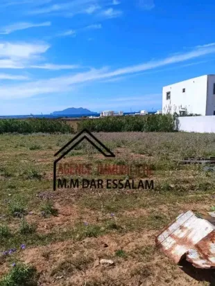 terrain près de la mer