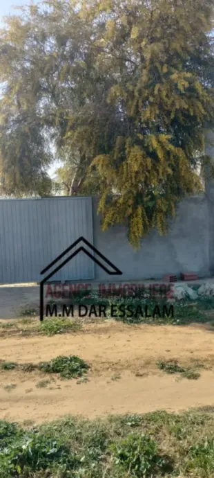 terrain agricole à dar allouche