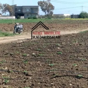 terrain agricole près de dar allouche