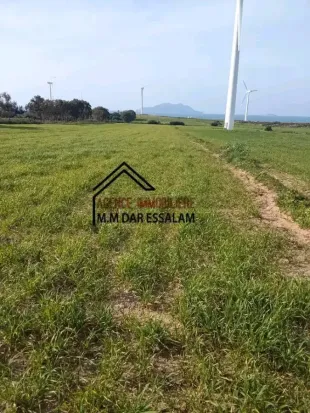 terrain agricole près de la mer