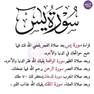 قطعة ارض مساحة 200م 